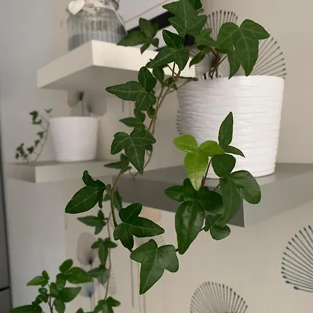Apartament Polonia