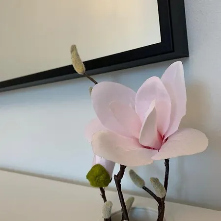 Polonia 公寓 什切青