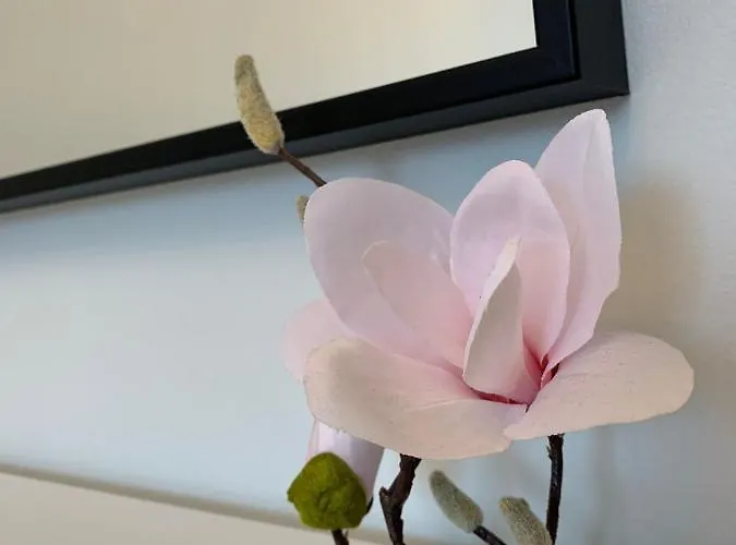 Polonia Διαμέρισμα Στσέτσιν